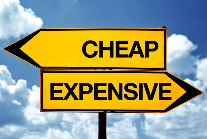 Luxury vs. Budget: Are Expensive Toys Really Worth It?