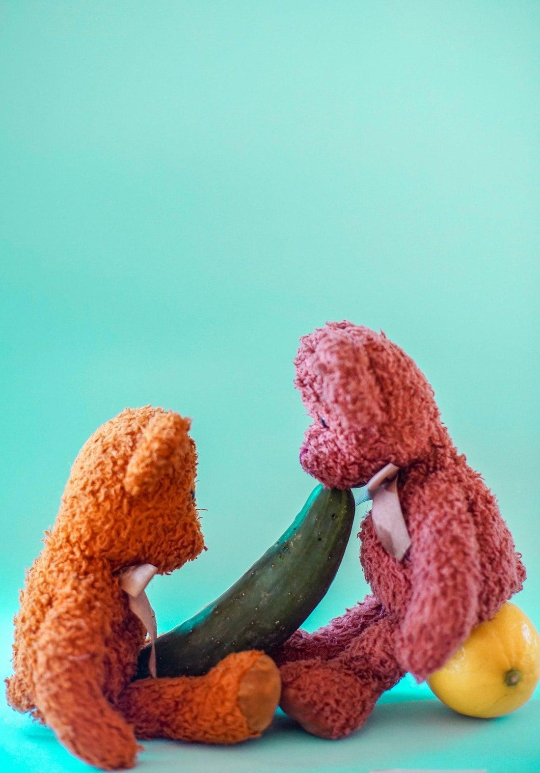 The Top 10 Must-Have Sex Toys for Couples