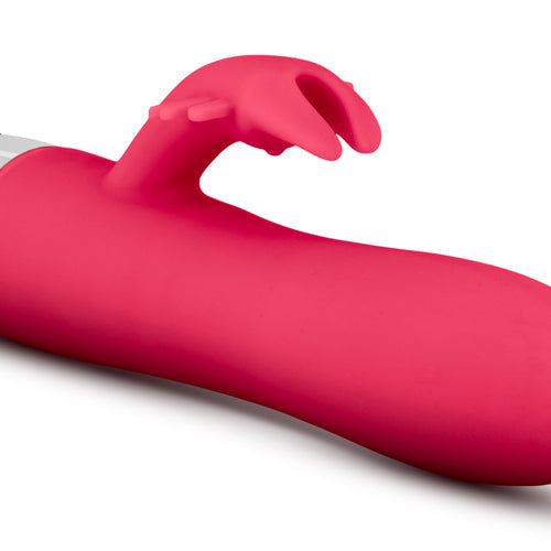 (D) ARIA BRILLIANT CERISE - BN81500
