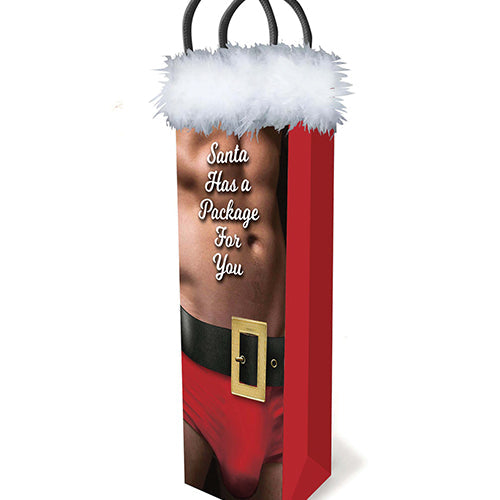 SANTA HAS A BIG PACKAGE FOR YOU GIFT BAG