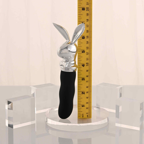 PLAYBOY BUNNY ON THE GO - ENPBRS66642