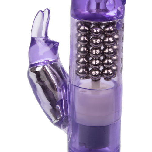 JACK RABBIT PURPLE W/P - SE061080
