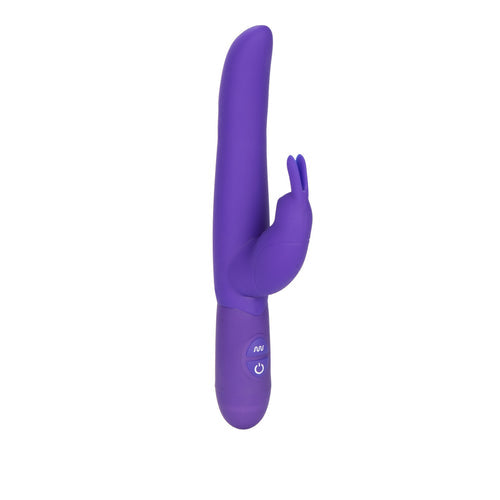 POSH 10 FUNCTION BOUNDING BUNNY PURPLE - SE454025