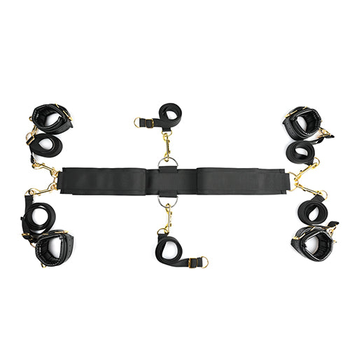 SPECIAL EDITION UNDER THE BED RESTRAINT SYSTEM - SS02101