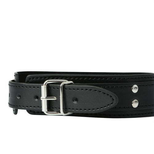PREMIUM COLLAR W/ NIPPLE CLAMP - SS44520