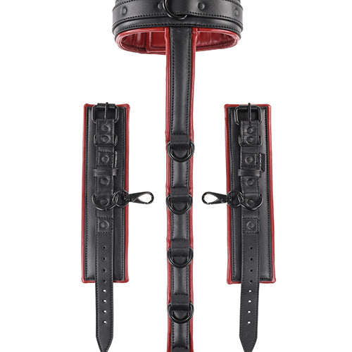 SAFFRON NECK & WRIST RESTRAINT - SS48016