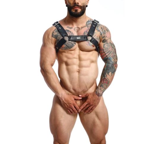 MALE BASICS DNGEON CLASSIC BELT HARNESS BLACK O/S - MBDMBL13BLK