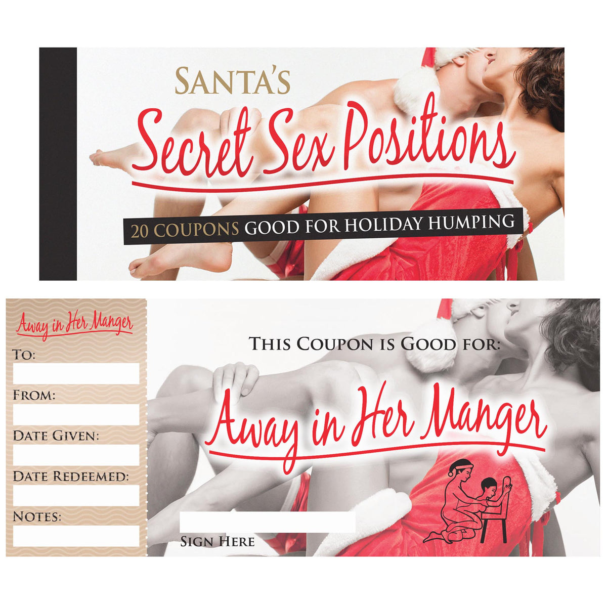 SANTAS SECRET SEX POSITION COUPONS