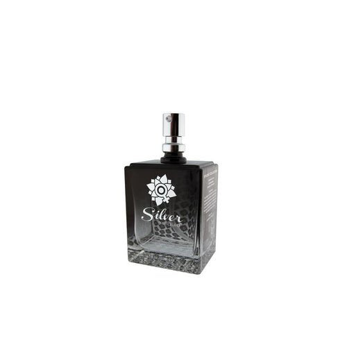 STUDIO COLLECTION SILVER 3.4 OZ(out Dec) - SL084
