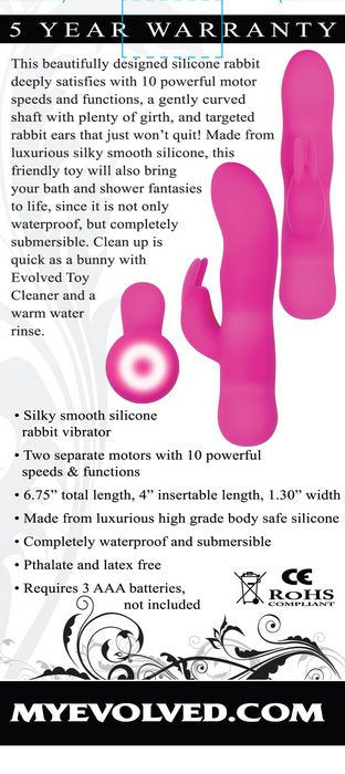 EVOLVED SUGAR BUNNY - ENVB11722