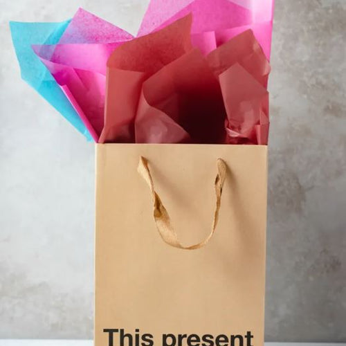 THIS PRESENT DOESN'T SUCK GIFT BAG - WRBAG006
