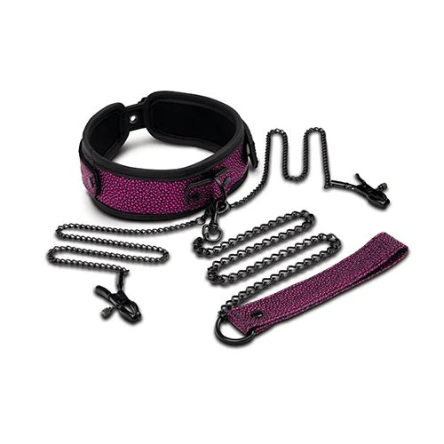 DRAGONS LAIR COLLAR LEASH NIPPLE CLIP - XGWS1068