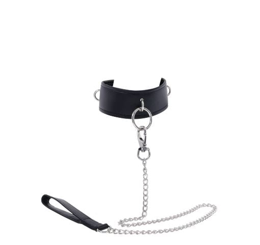 EDGE COLLAR & LEASH - SS98046