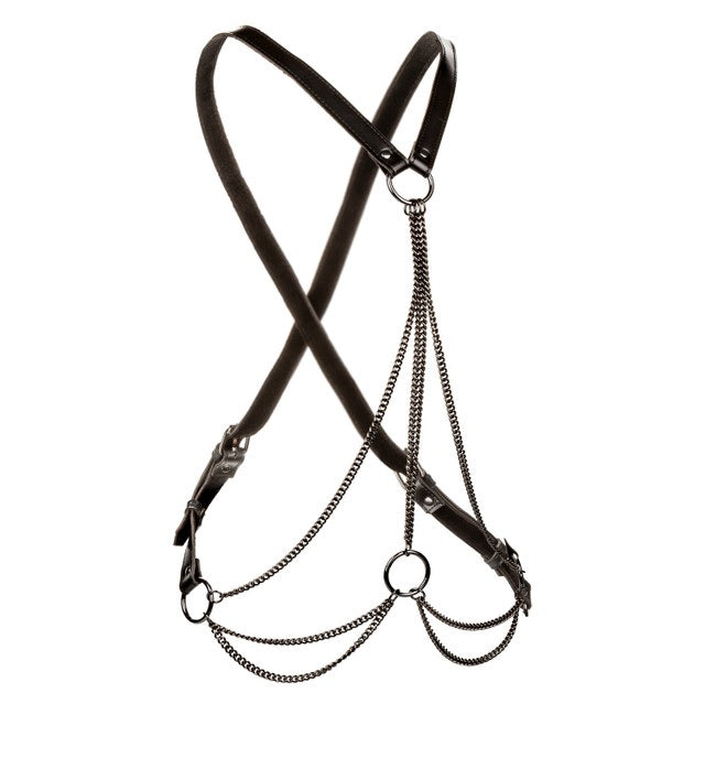EUPHORIA MULTI CHAIN HARNESS - SE310120