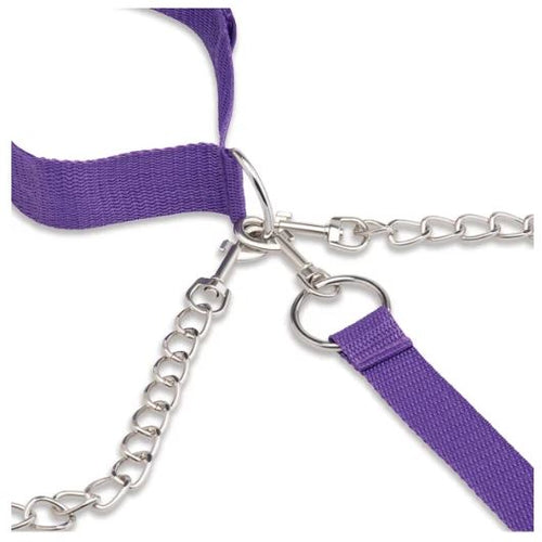 COLLAR CUFFS & LEASH SET - ELLF1805PUR