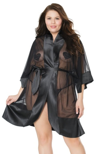 20310 - Sheer Robe