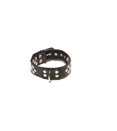 X-PLAY COLLAR WITH D-RING - 2078