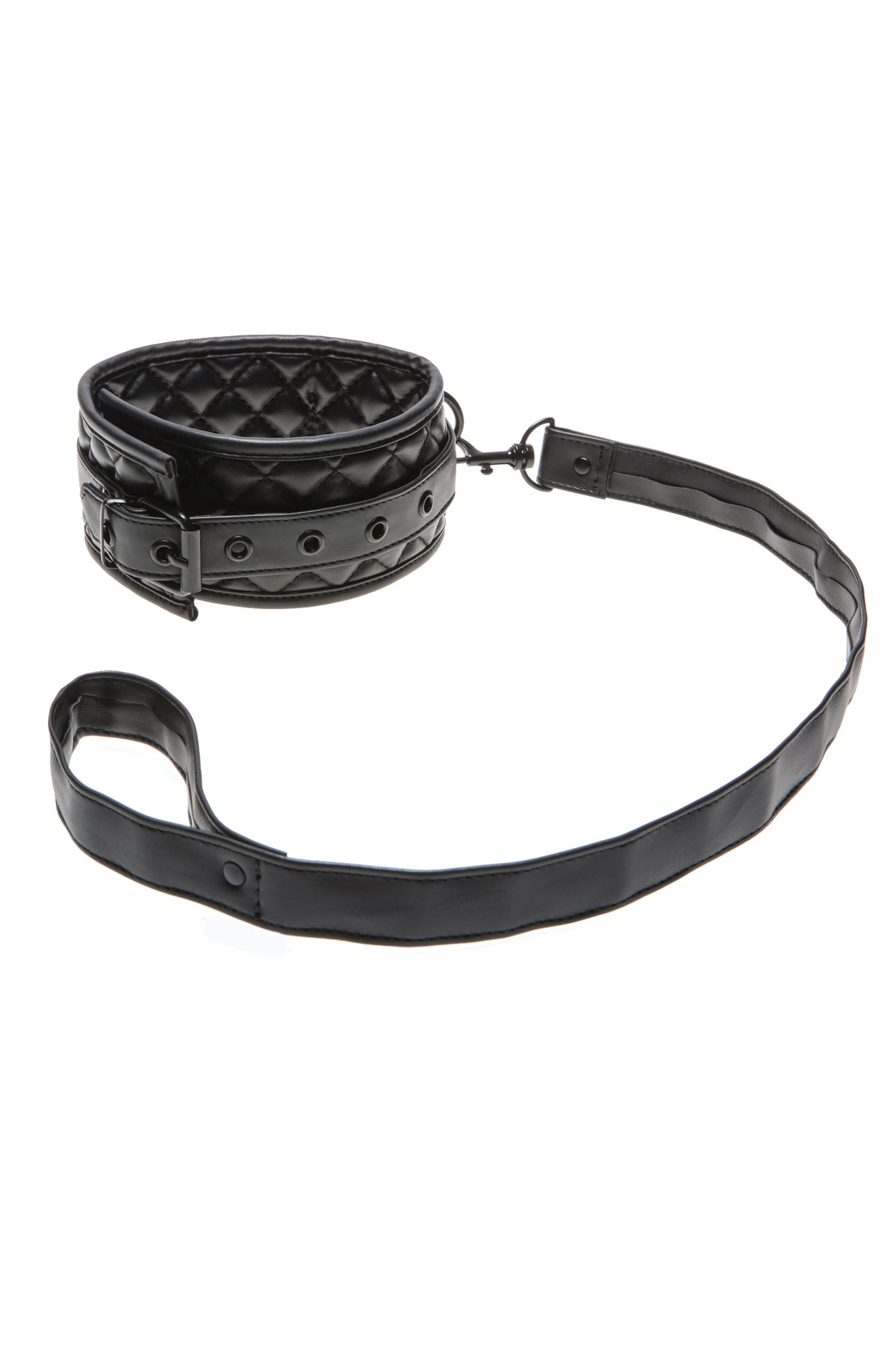 Collar & Leash - 2084