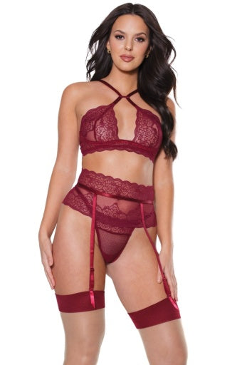 22313 - Bra and Garter Belt