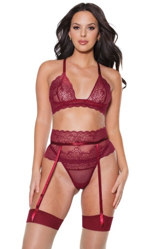 22313 - Bra and Garter Belt