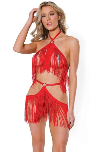 22328 - Fringe Harness and Crotchless Panty