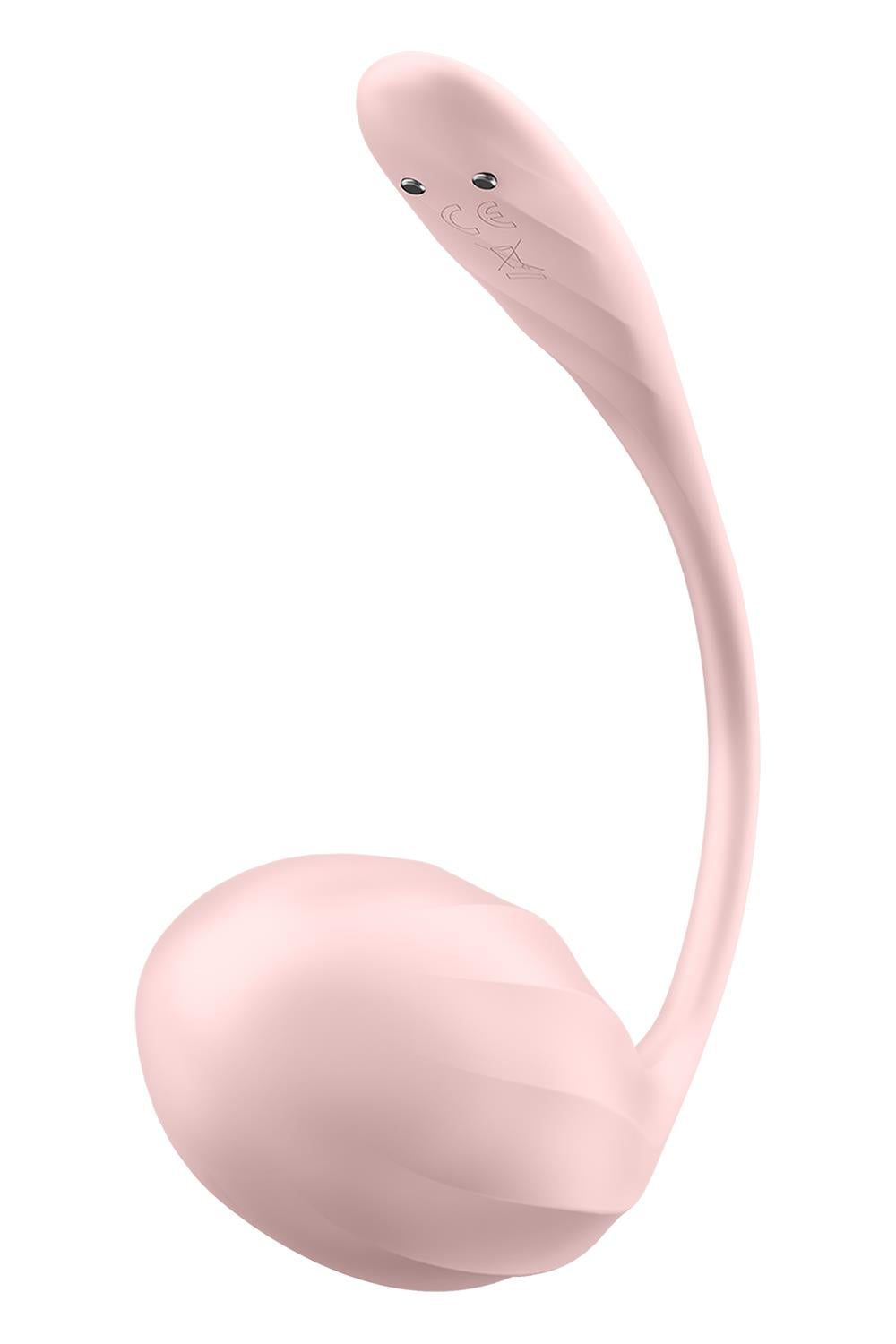 RIBBED PETAL ROSE (NET) - EIS4002774