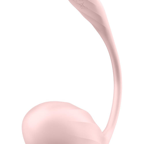 RIBBED PETAL ROSE (NET) - EIS4002774