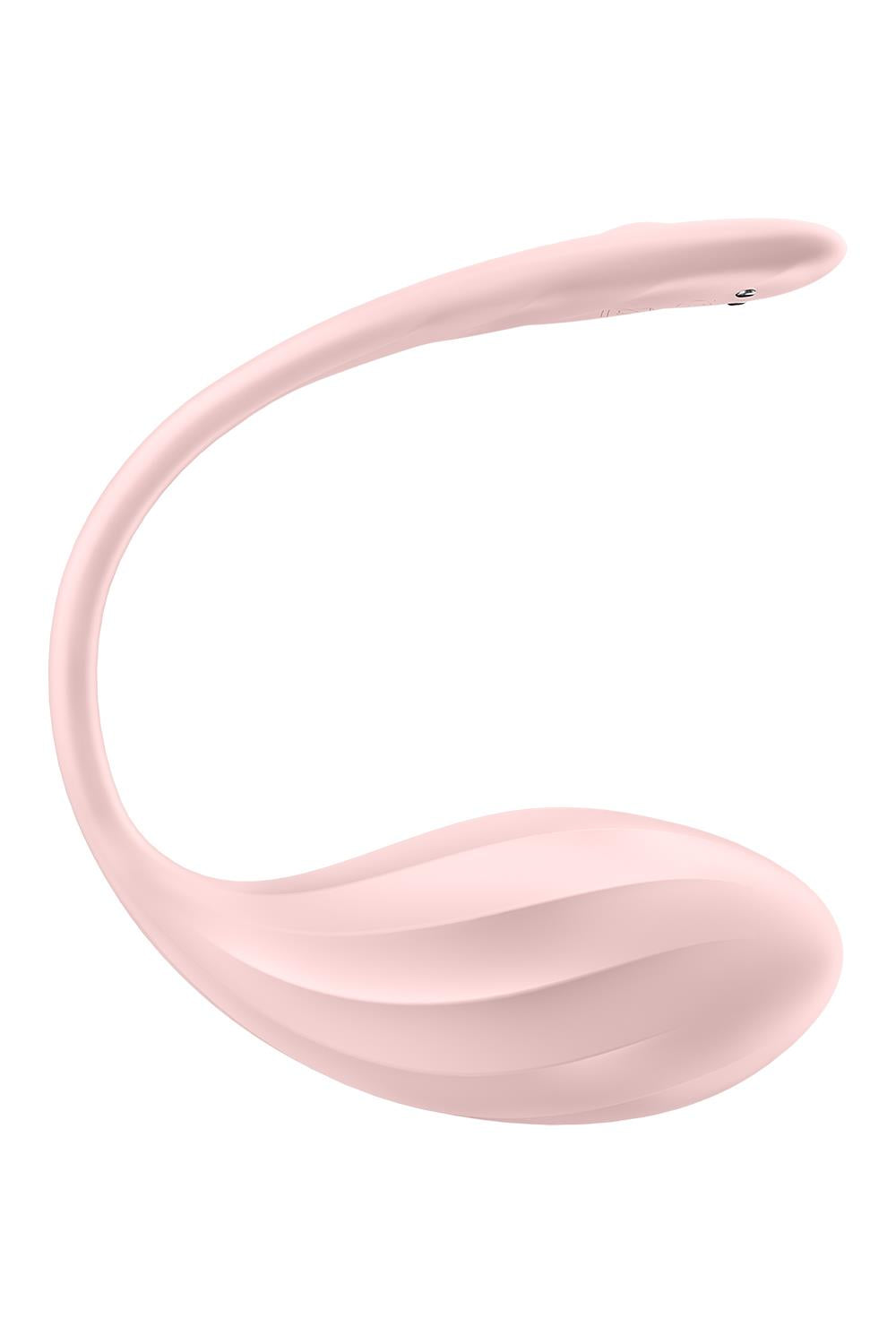 RIBBED PETAL ROSE (NET) - EIS4002774