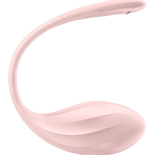 RIBBED PETAL ROSE (NET) - EIS4002774
