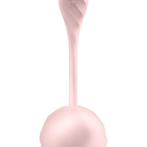 RIBBED PETAL ROSE (NET) - EIS4002774