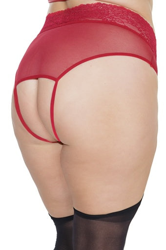 7245X - Diva Crotchless Panty With Attached Garters