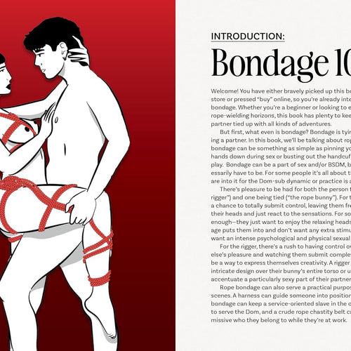 BONDAGE PLAYBOOK (NET)