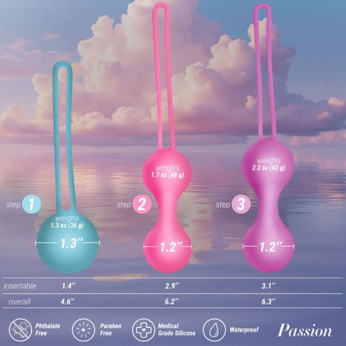 PASSION SILICONE WEIGHTED KEGEL BALL SET - XRAH842