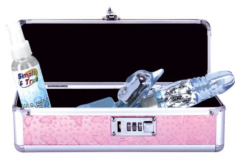 LOCKABLE VIBRATOR CASE PINK SMALL - BMS09916