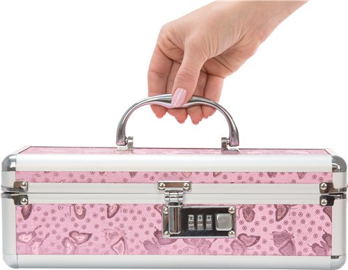 LOCKABLE VIBRATOR CASE PINK SMALL - BMS09916