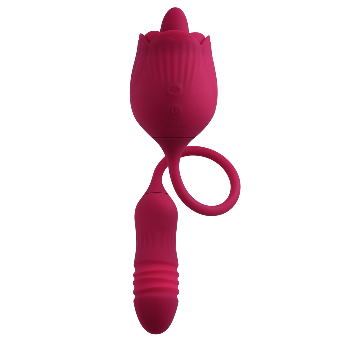 EVOLVED WILD ROSE - ENRS12252