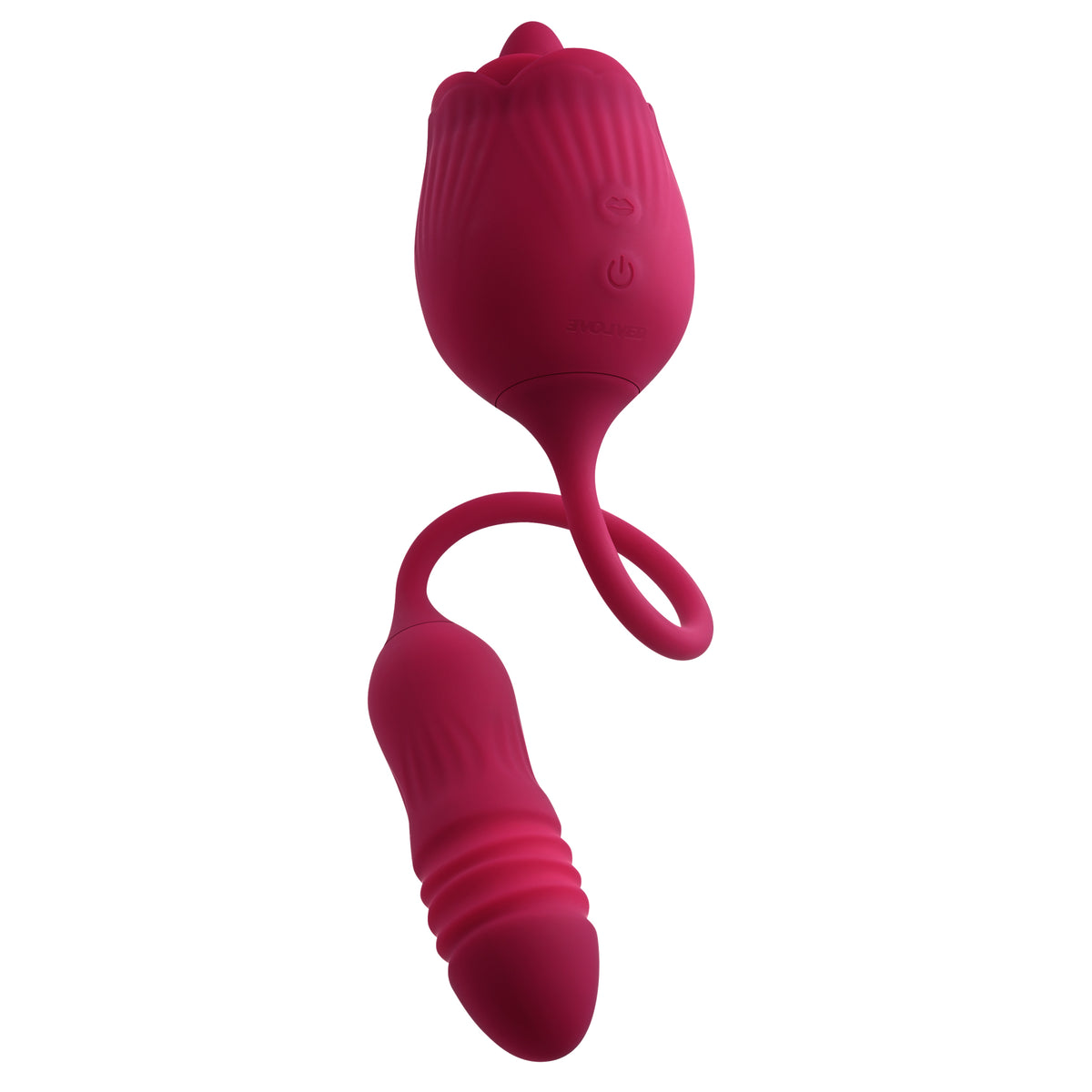 EVOLVED WILD ROSE - ENRS12252