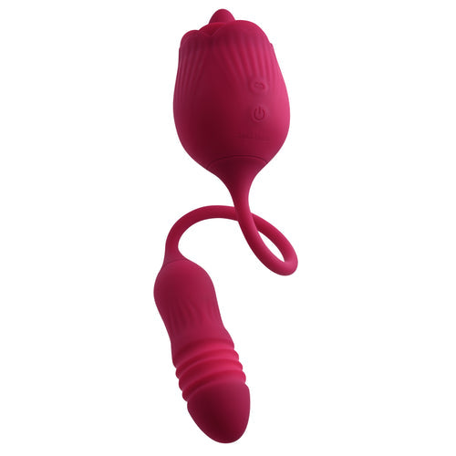 EVOLVED WILD ROSE - ENRS12252