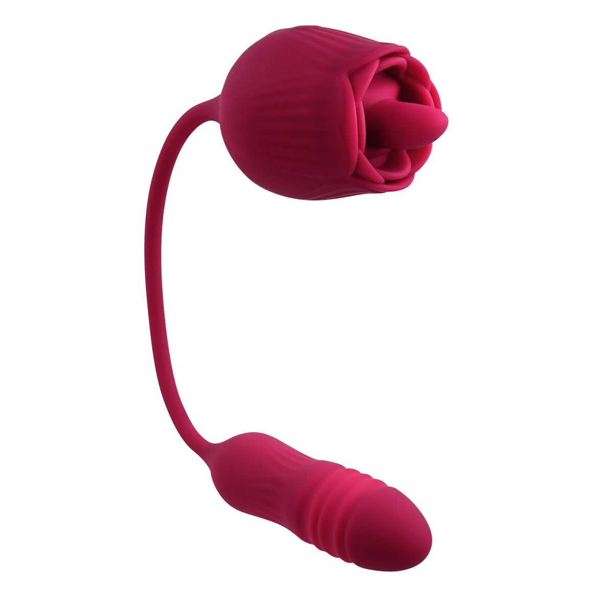 EVOLVED WILD ROSE - ENRS12252
