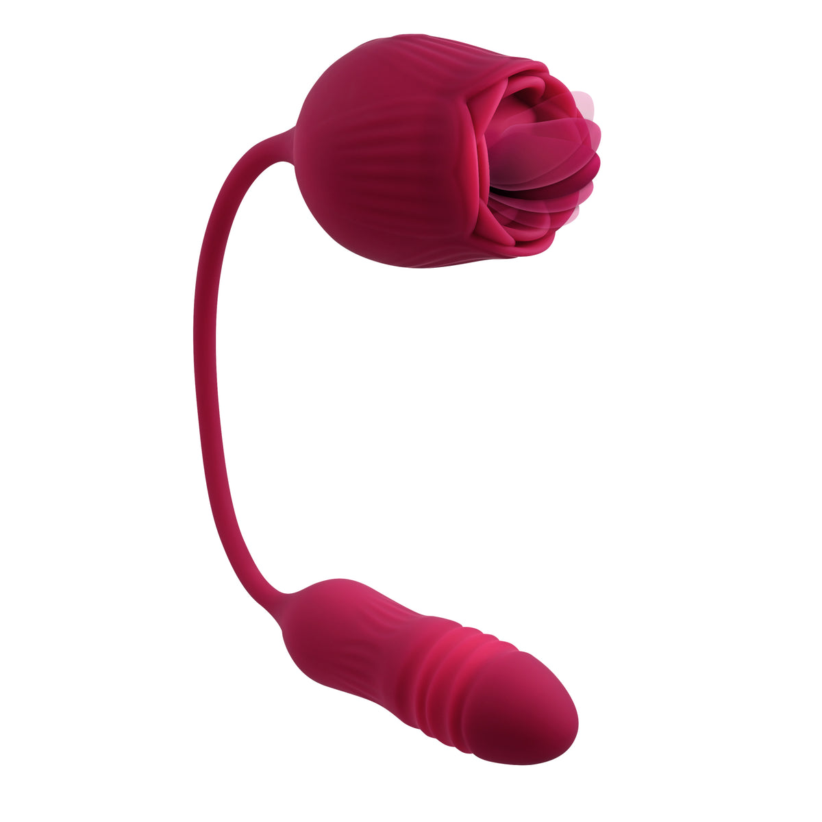 EVOLVED WILD ROSE - ENRS12252