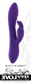 EVOLVED WAVY RABBIT - ENRS40972