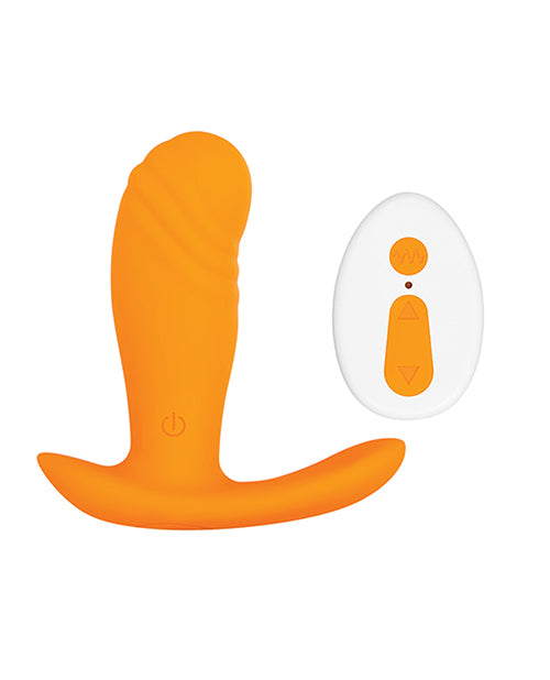 EVOLVED CREAMSICLE - ENRS76792