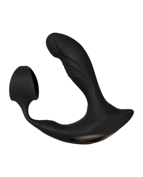 ZERO TOLERANCE STRAPPED & TAPPED - ENZEAP62902