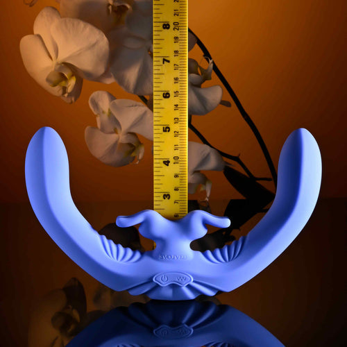 EVOLVED LOVEBIRDS - ENRS60152
