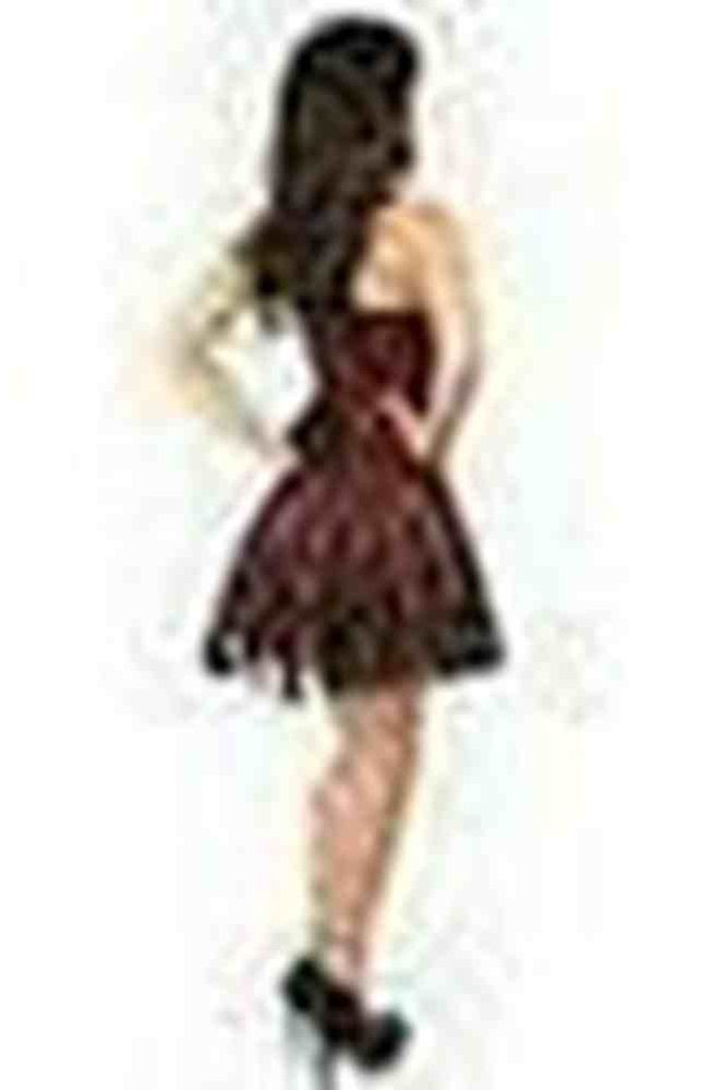 Lavish Red Lace Corset Dress