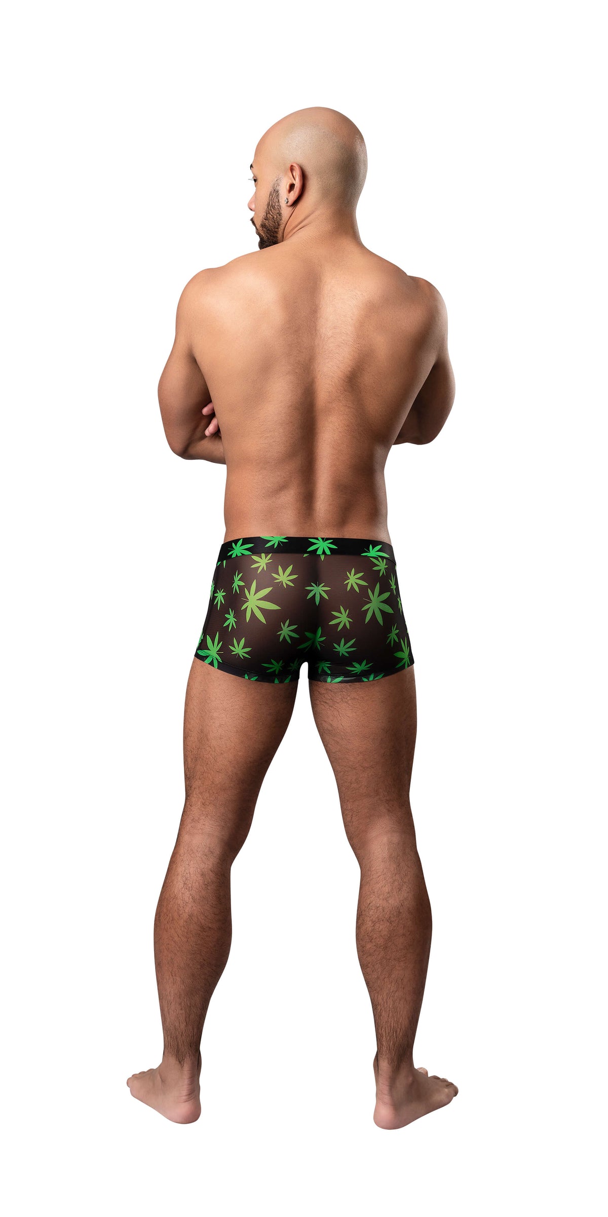 HAZY DAYZ POUCH SHORT POTLEAF SMALL - MP145294PLSL