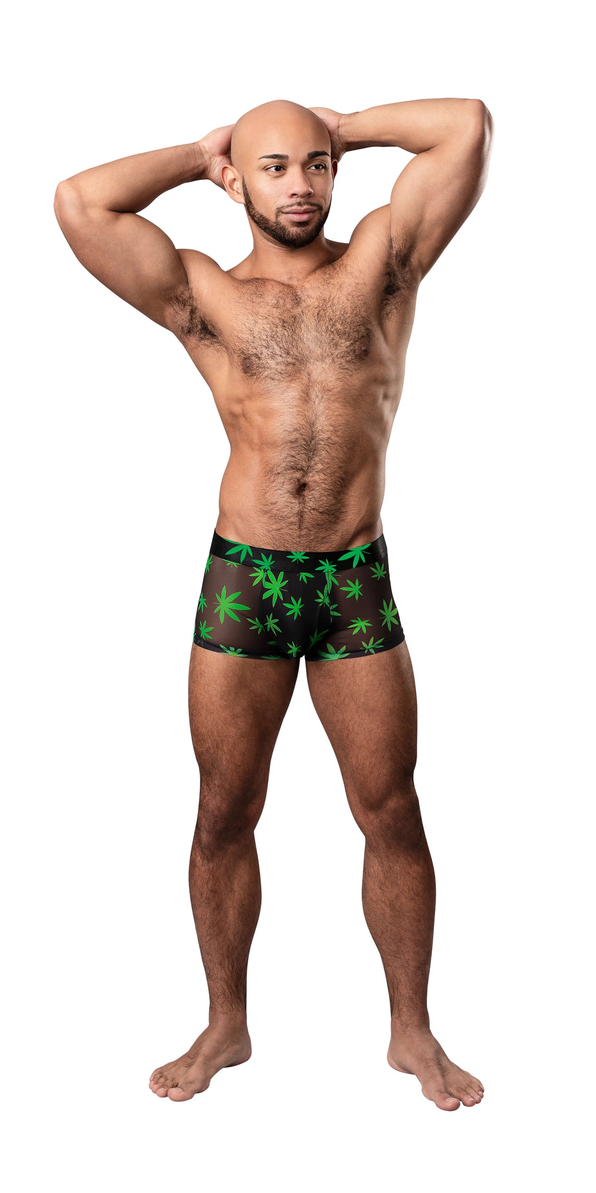 HAZY DAYZ POUCH SHORT POTLEAF SMALL - MP145294PLSL