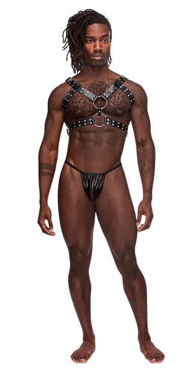 GEMINI LEATHER HARNESS BLACK O/S - MP591266BK1S