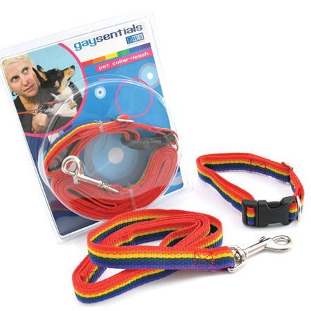 GS Pet Combo Leash/Collar (Medium)