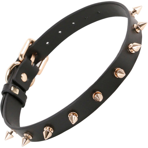 FETISH & FASHION MEDUSA COLLAR BLACK - NSN180063AP